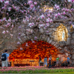 Grotto of Our Lady of Lourdes
