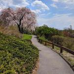Highland Park