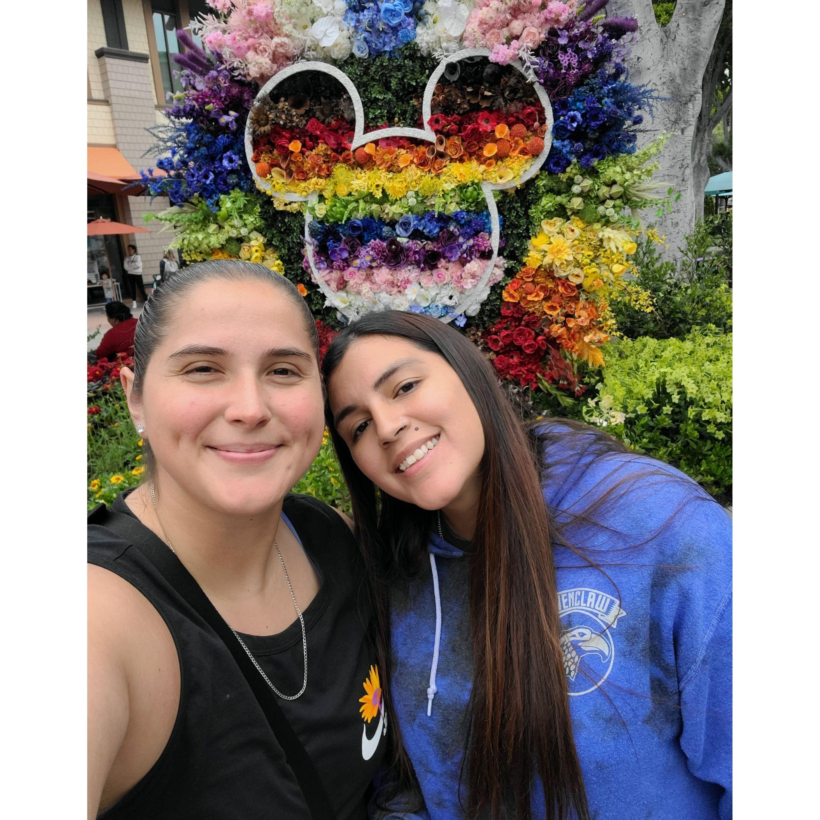 Visiting Downtown Disney