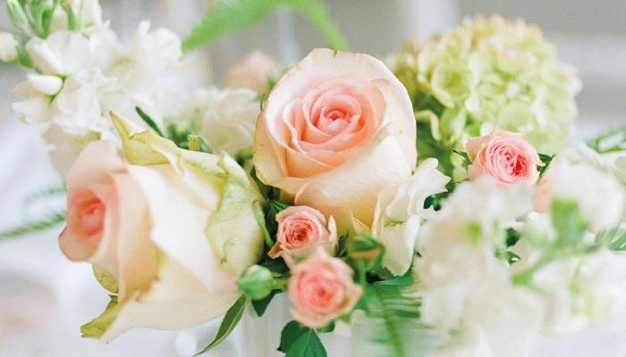 The Wedding Website of Victoria Buda and George Zaharopoulos