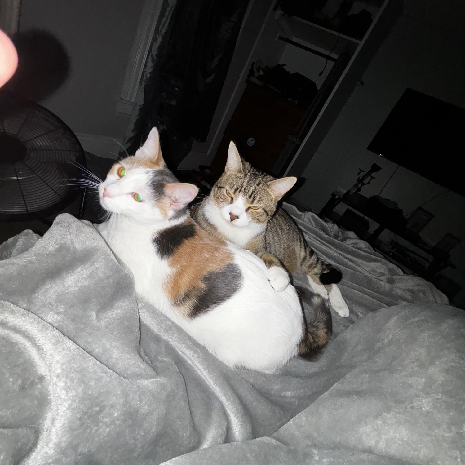 Ivy and Bubba