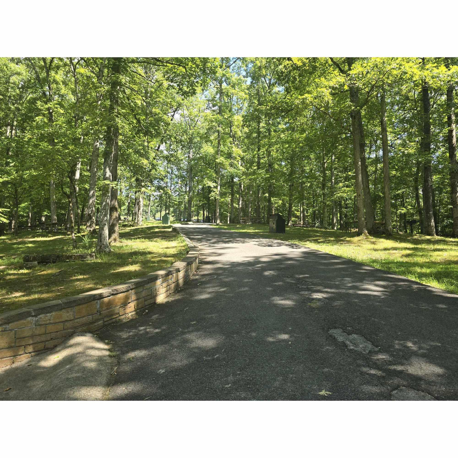 This is the sloped path we mentioned on the schedule page to get down to the Lake Acorn Pavilion.