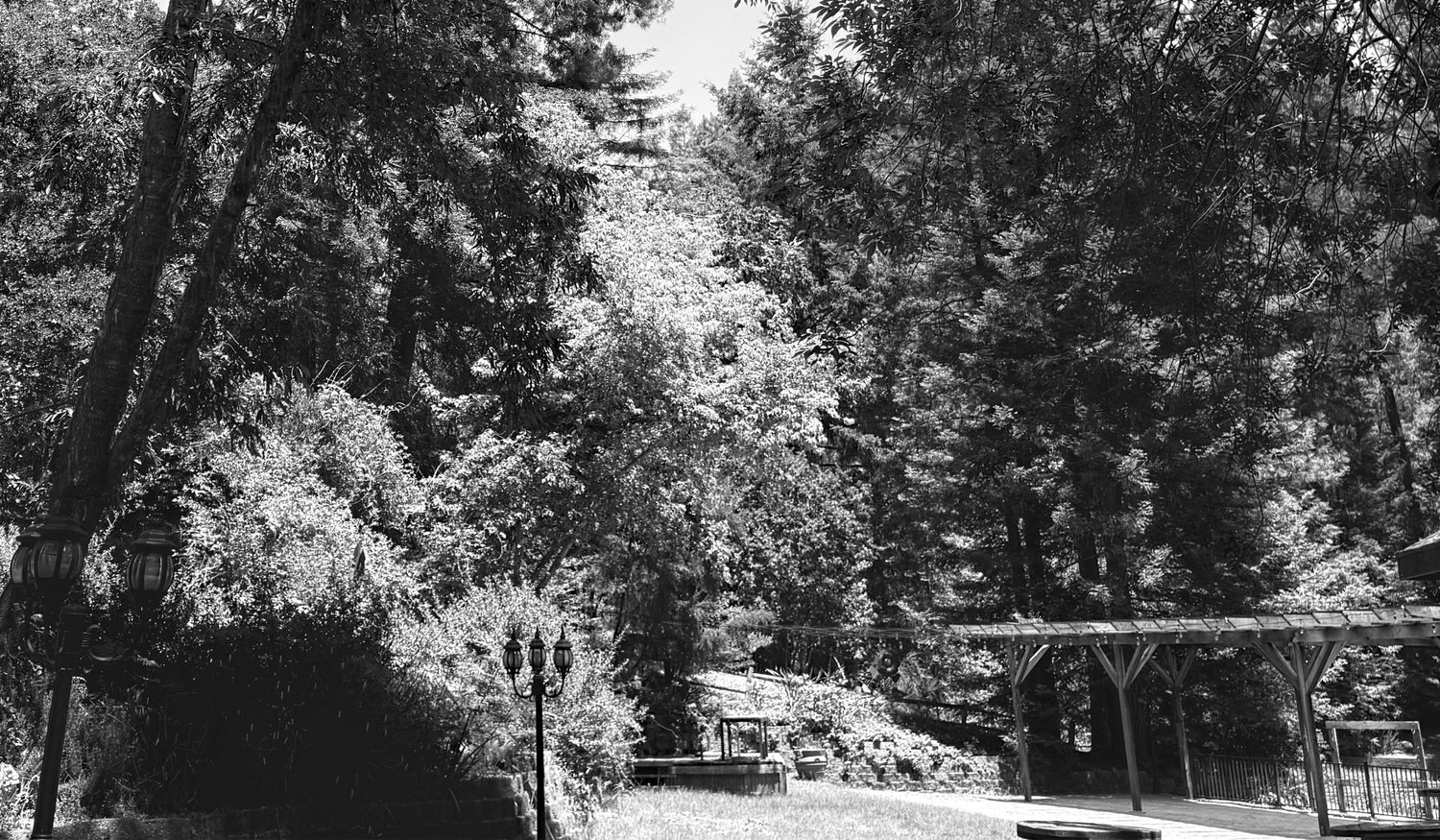 The Wedding Website of Julia Marcus and Ashton Taylor