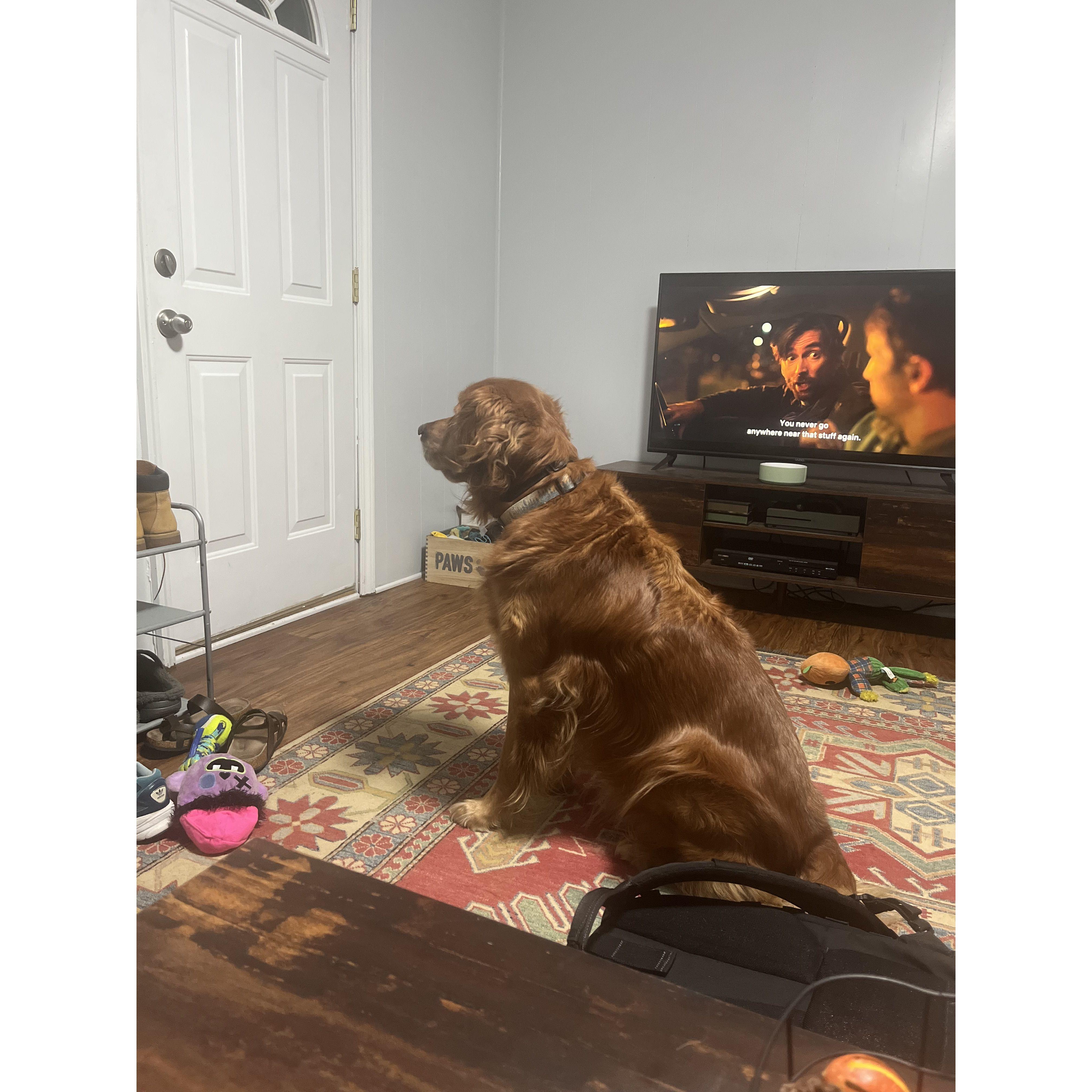 Simba fell in love with Bobby too, always waiting for him to get home