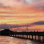 The Fairhope Pier