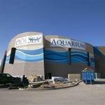 OdySea Aquarium