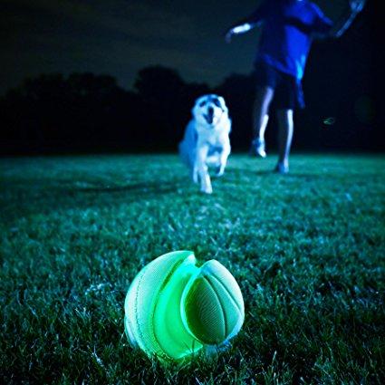 ChuckIt Kick Fetch Max Glow Dog Toy