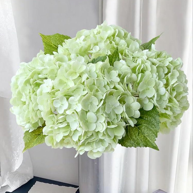 SUMTIPHUN 3 Pcs Light Green Latex Hydrangeas Artificial Flowers 21'' Long Stem Faux Real Touch Hydrangea for Kitchen Porch Living Room Spring Home Decor Party Easter Table Centerpiece