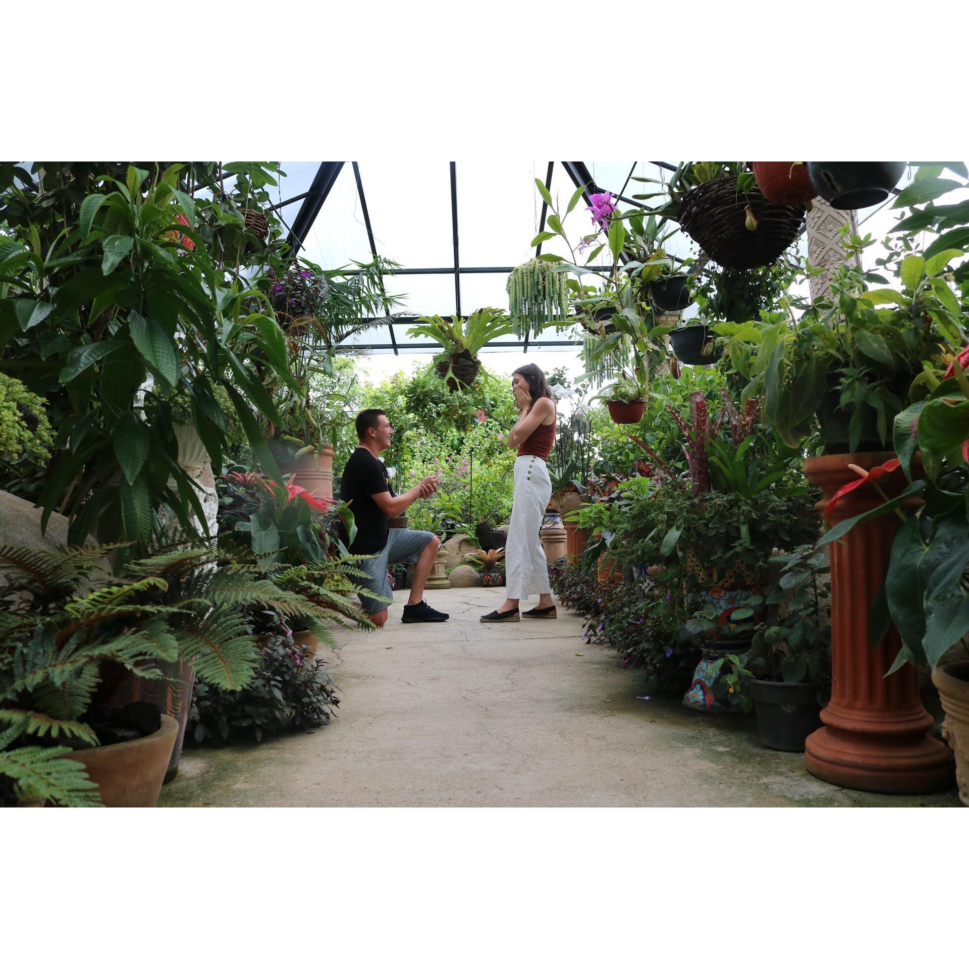 We got engaged in a botanical garden in Mexico during a tropical thunder & rain storm in August 2019