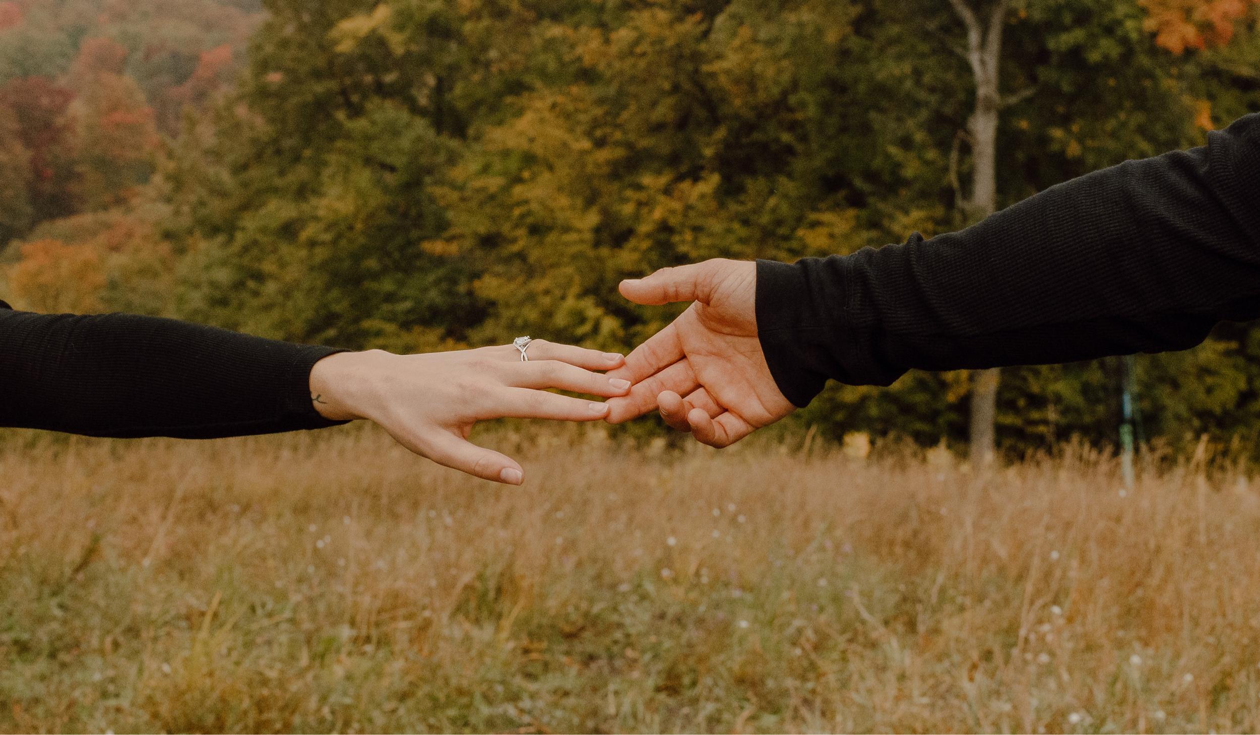 The Wedding Website of Diana Erin and Austin David