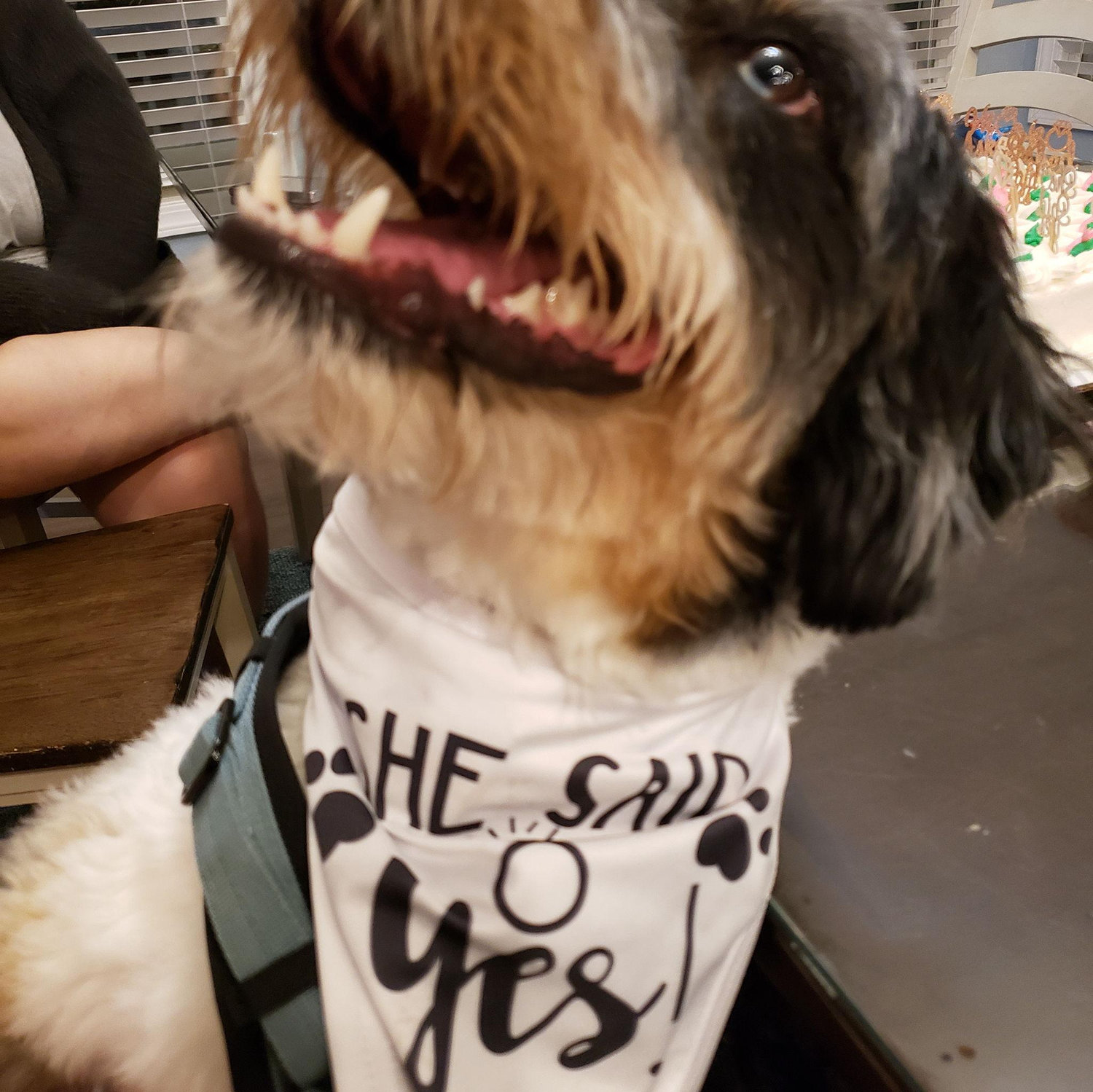 Two bandanas in one day...that's a record for him! "She said yes!"