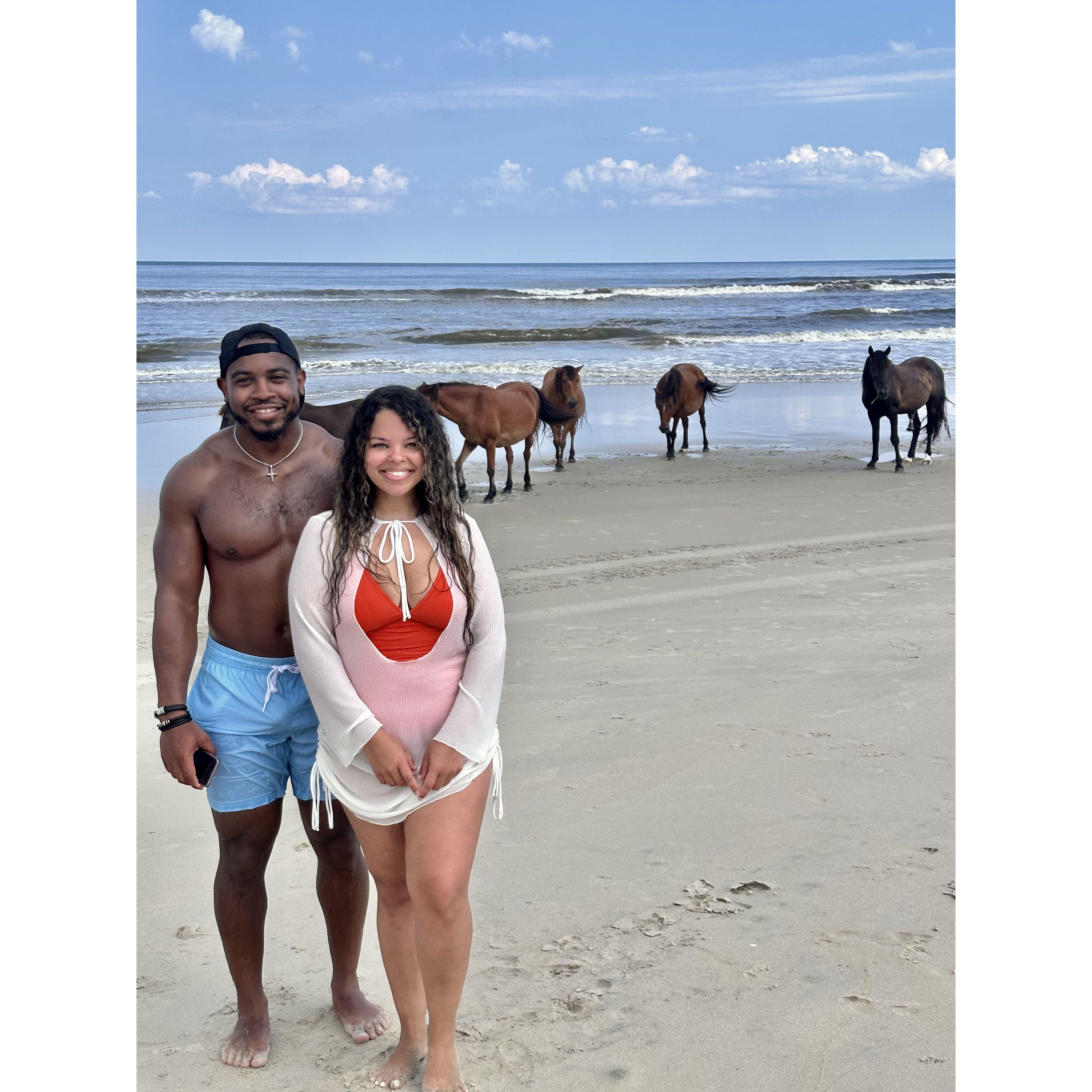 The OBX Horses. Before this picture was taken, there was almost a horse fight on the beach, but thankfully, no horses were harmed!