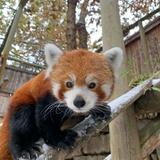 Zoo Boise
