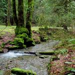 Visit Twanoh State Park