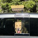 Tamanawas Falls Trailhead