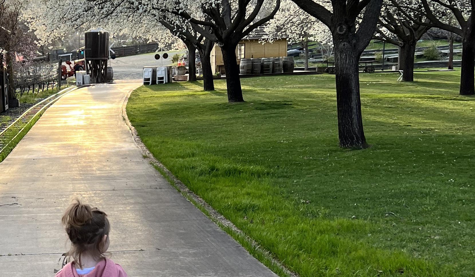 The Wedding Website of Elizabeth Engle and Shane Hansen