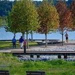 Shelby Farms Park