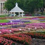 Annual Flower Trial Garden