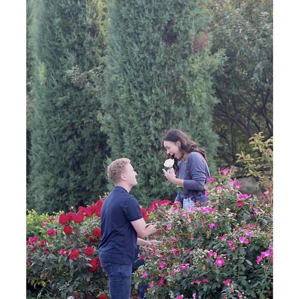 The best proposal and the easiest YES of Amanda's life!