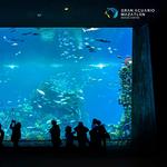 Gran Acuario Mazatlán "Mar de Cortés"