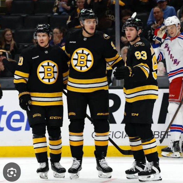 Boston Bruins Game