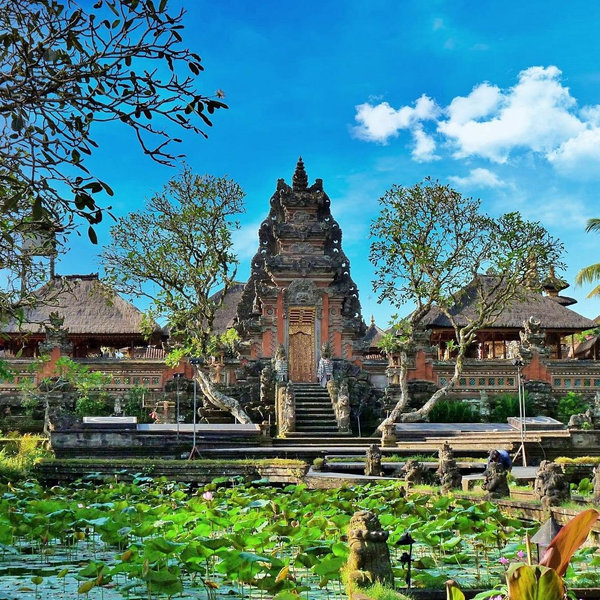 Ubud Day Trip