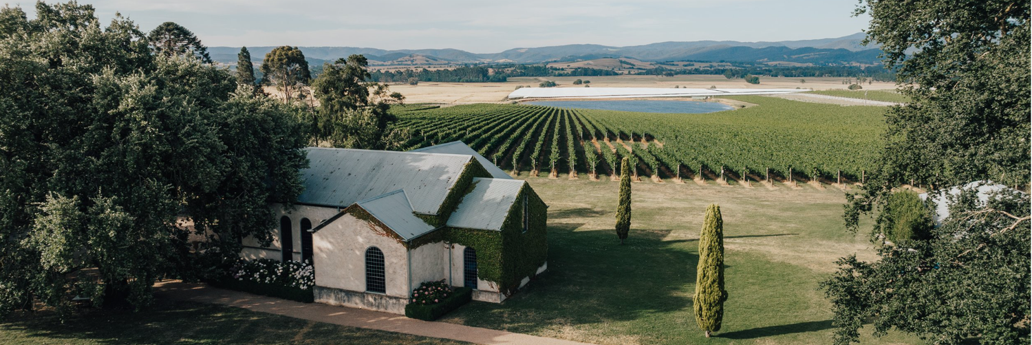 The Wedding Website of Rachel Giffening and Dylan Hickey