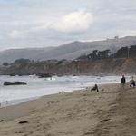 Salmon Creek State Beach