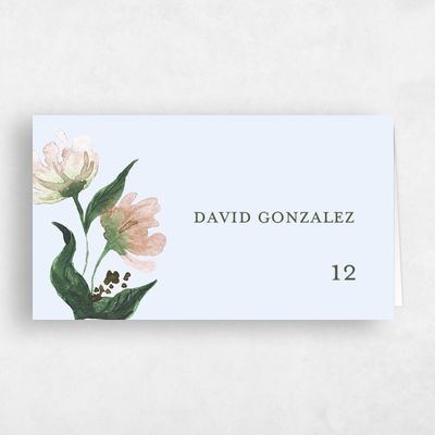 Light Sky, Blue Wedding Place Card - Brookstone