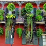 French Quarter