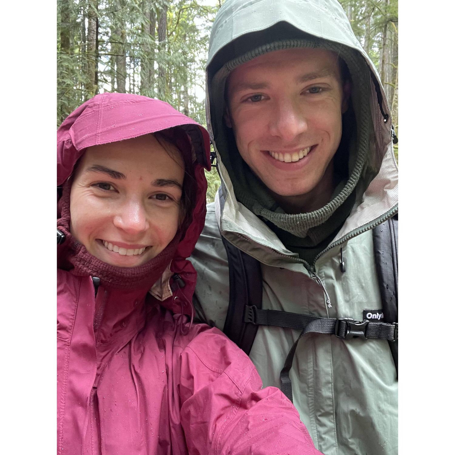 Damp in the Hoh Rainforest, 2021 (Olympic National Park, Washington)
