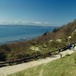 Discovery Park