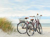 Young's Bicycle Shop