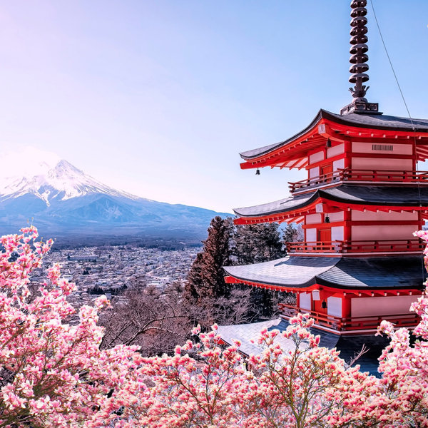 Honeymoon in Japan Fund