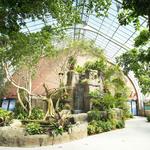 National Aviary