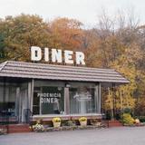 Phoenicia Diner