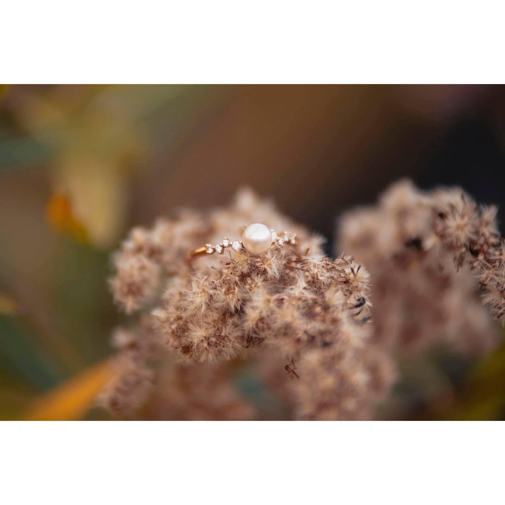 Engagement Photos by ABSORB Productions