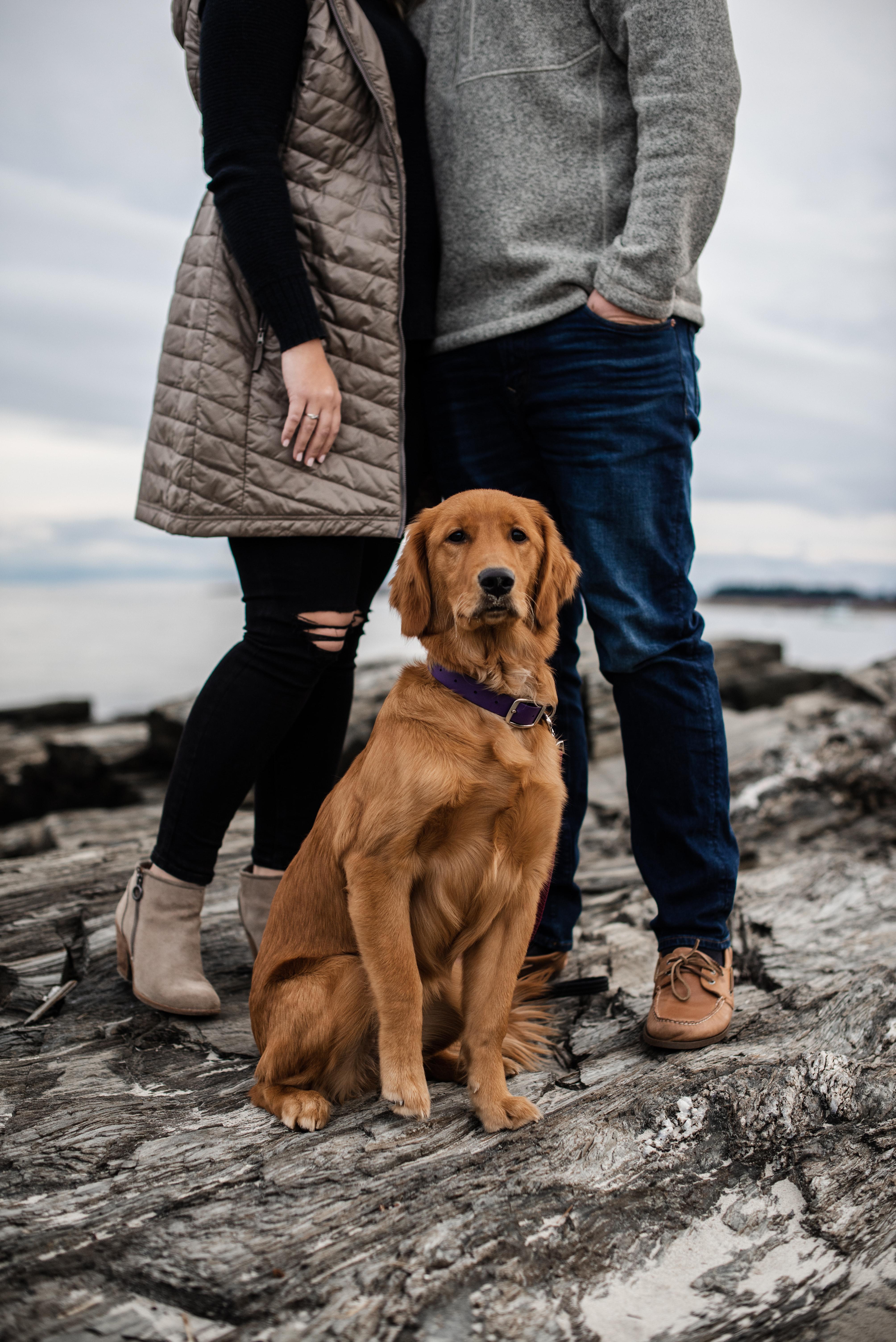 The Wedding Website of Brooke Morrill and Cody White