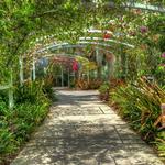Naples Botanical Garden