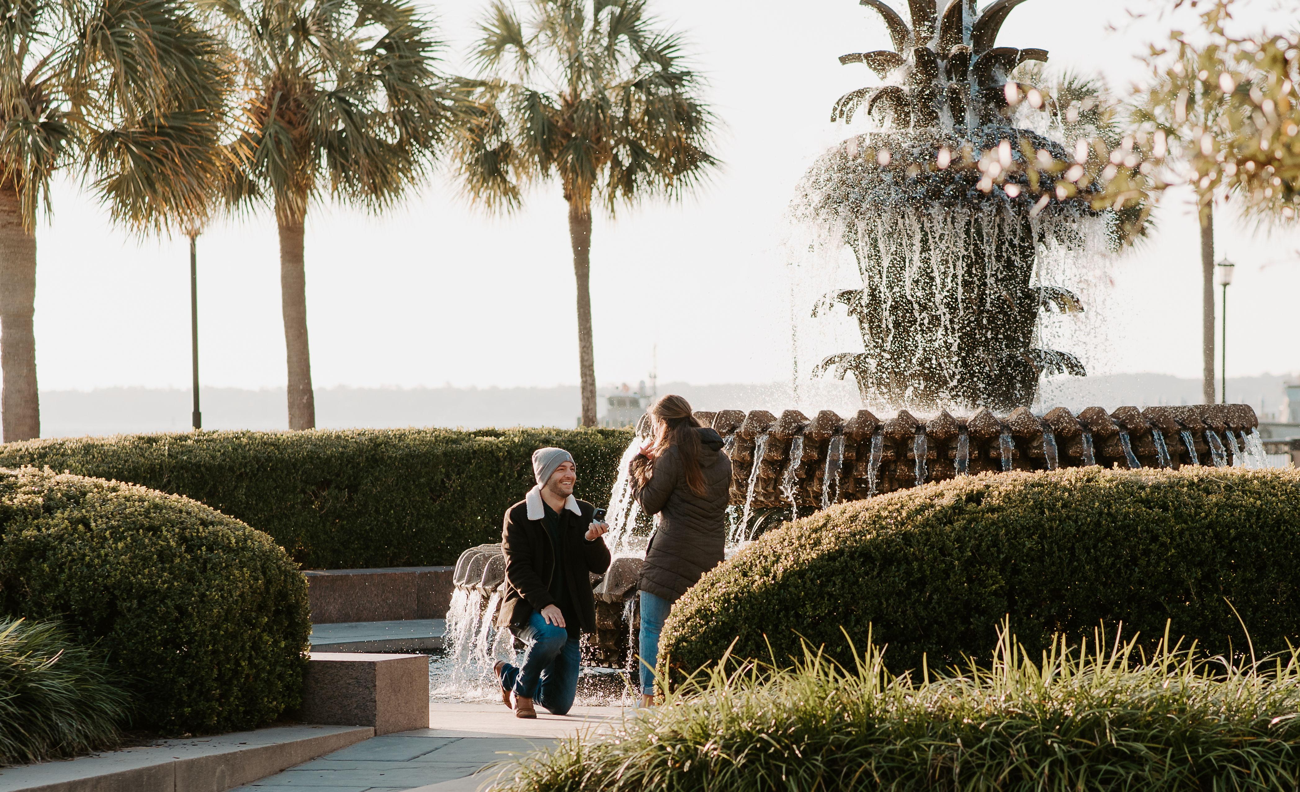 The Wedding Website of Taylor Dingus and Steven Reichart