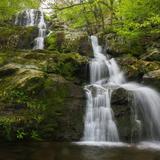 Dark Hollow Falls Trailhead