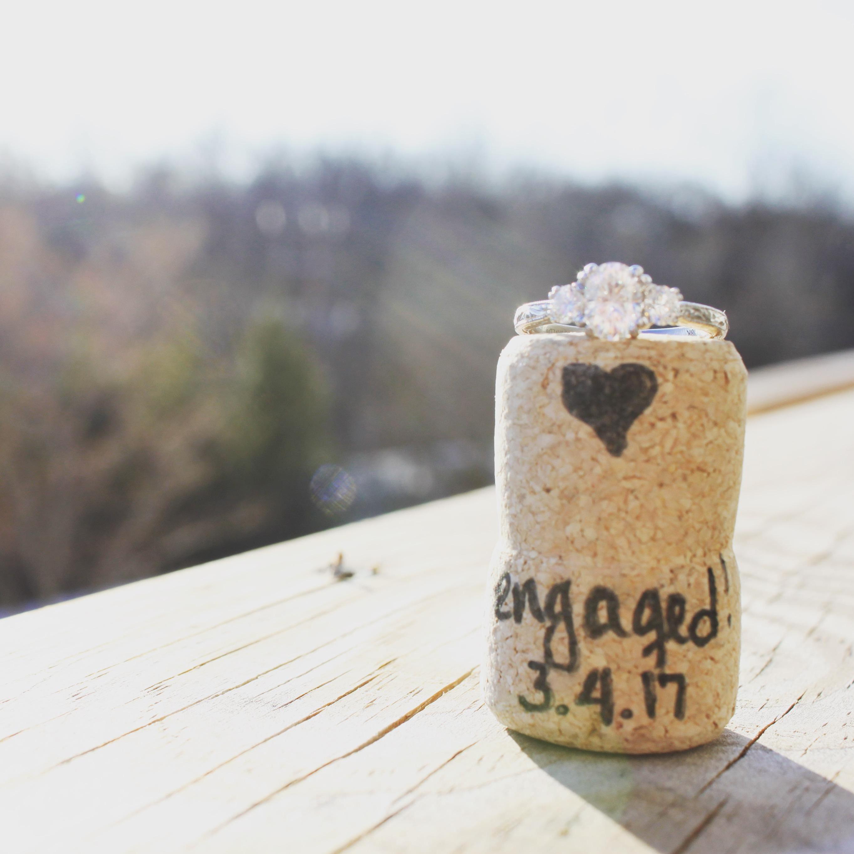 Snapped this on our back deck a few days after the proposal.