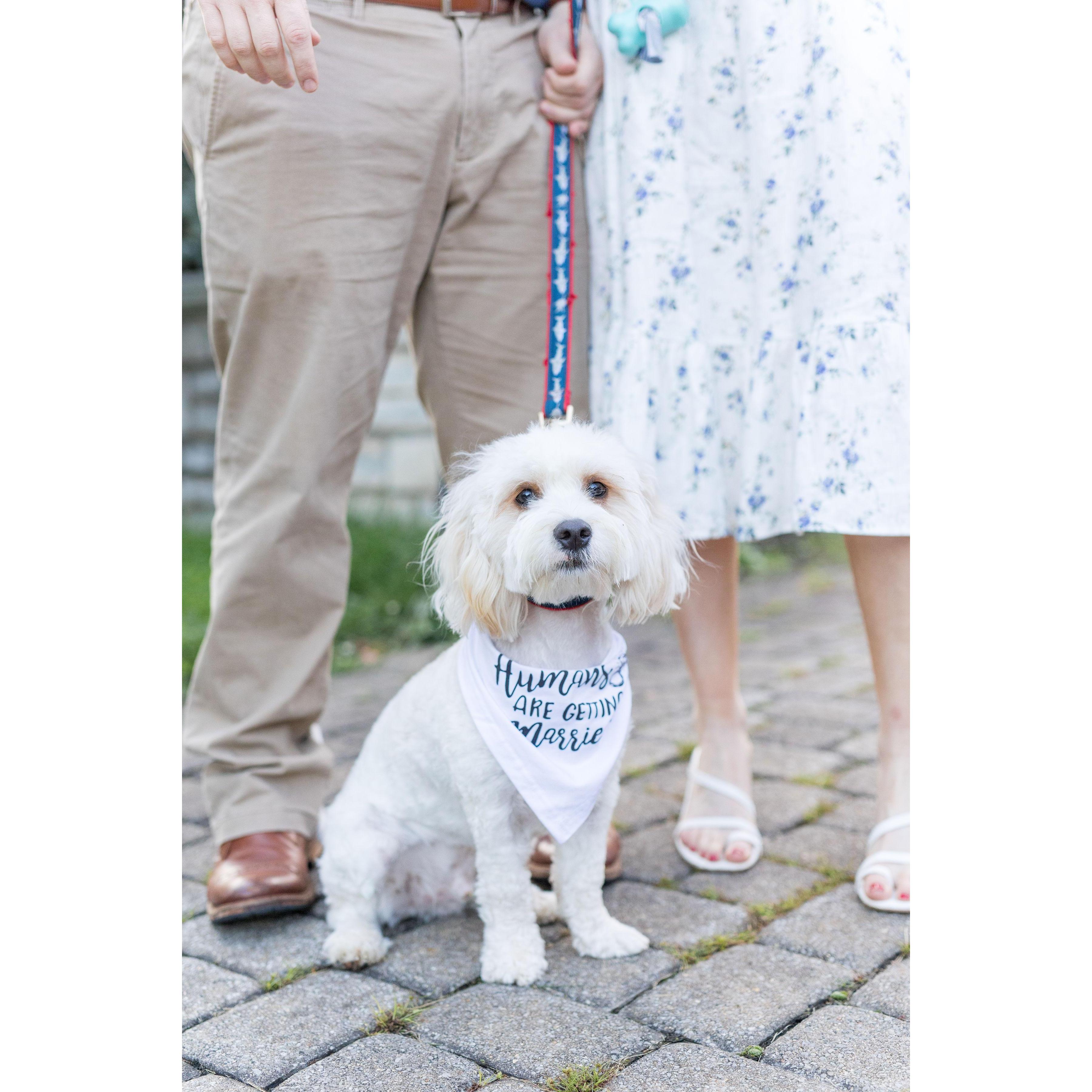 Our favorite little man, Howie Hauff!
Photography by Lindsey Zitzke