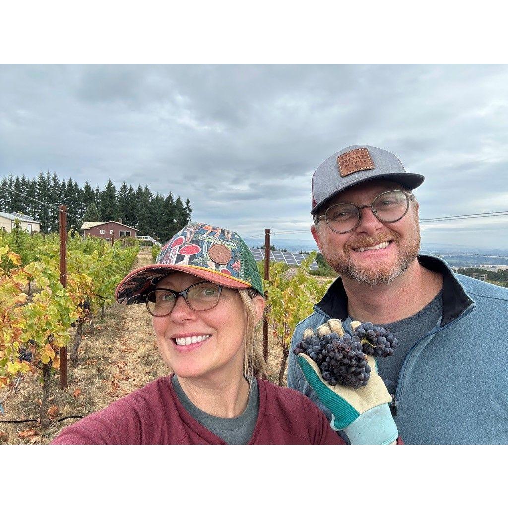 A day in the vineyard