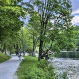 Bass Lake Loop