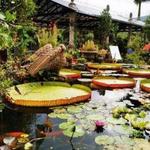 Vallarta Botanical Gardens