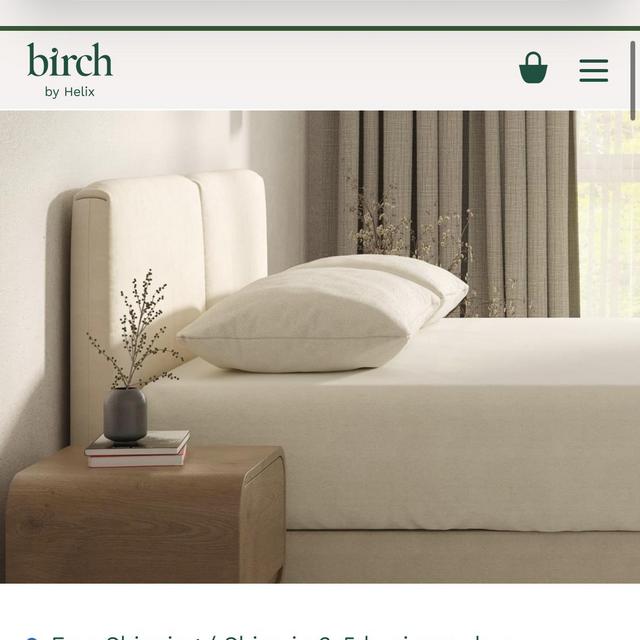 Organic Pillow (King Size)