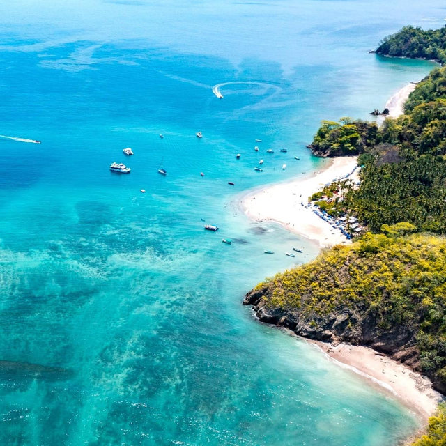 Tortuga Island Snorkeling