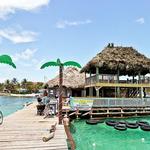 Palapa Bar and Grill