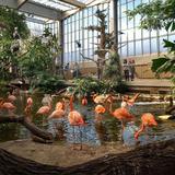 National Aviary